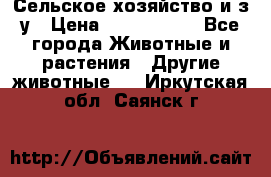 Сельское хозяйство и з/у › Цена ­ 2 500 000 - Все города Животные и растения » Другие животные   . Иркутская обл.,Саянск г.